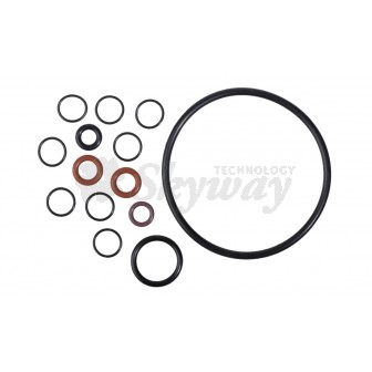 MAGAZINE 9RDS 5.5 P35/P53X