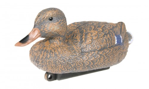 FEMALE DUCK 14