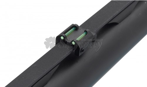 ALZA SLUG TS029F LPA SIGHTS